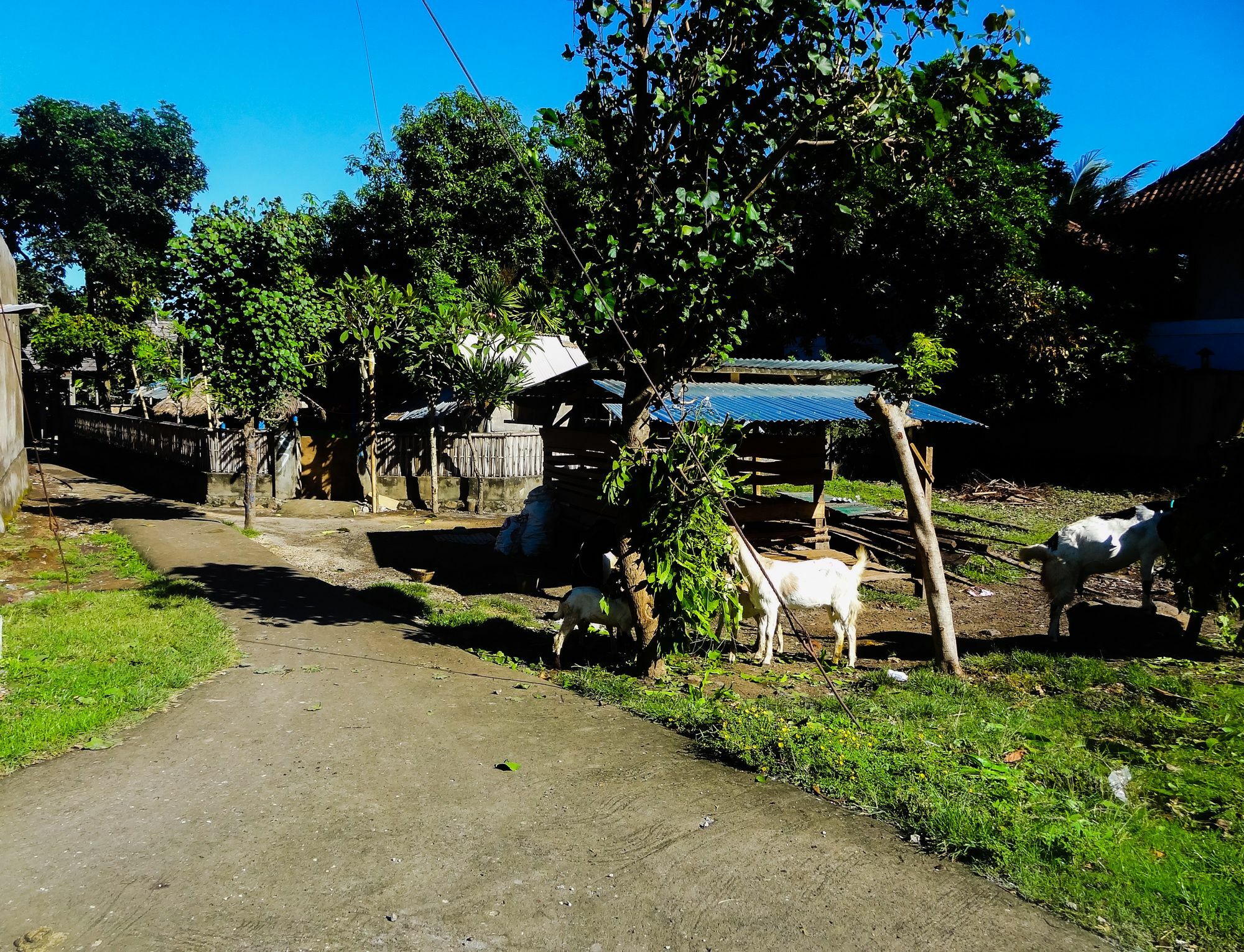 Teras Lombok Bungalow Senggigi Exterior foto